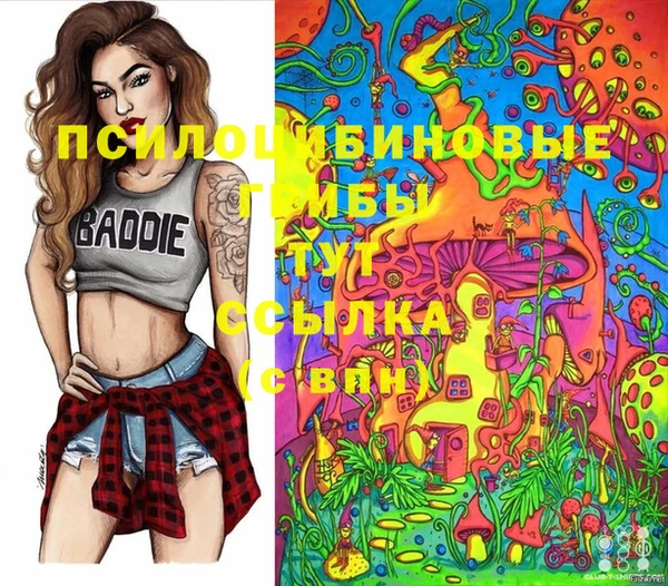 метадон Алзамай