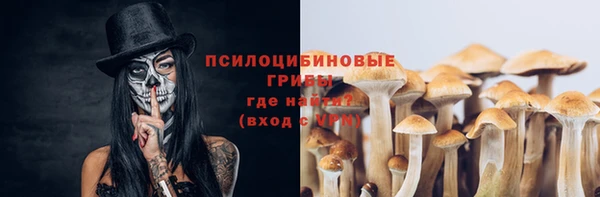 кокс Губаха